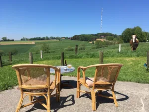 Raspoutine Social Club à Berthen