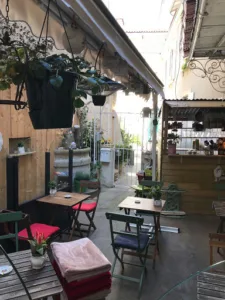 Jasmin Citronnelle à Poitiers