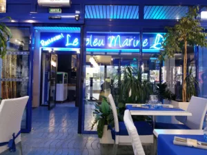 LE BLEU MARINE à Argelès-sur-Mer