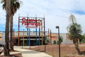 Casino Tranchant Le Grau-du-Roi | Casino Flamingo à Le Grau-du-Roi