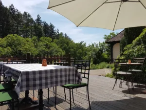 Farm Mellon à Niederbronn-les-Bains