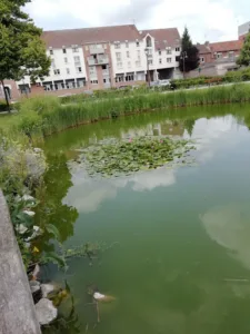 L’immercurienne à Saint-Laurent-Blangy