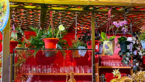 Dragon d’Asie à La Roche-sur-Yon