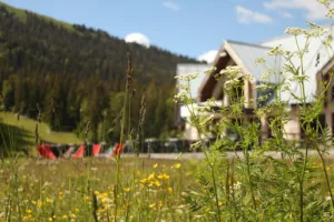 Bar – Restaurant – Snack ‘Le 1400’ à Aillon-le-Jeune