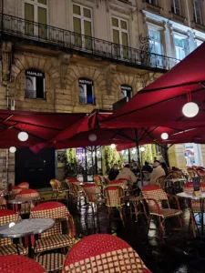 Cave A Vin à Bordeaux