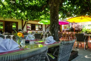 Hôtel  Restaurant  Bar Les Tilleuls à Saint-Jorioz