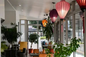 Le Mékong à Lognes