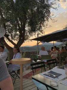 Malabar à St Paul de Vence