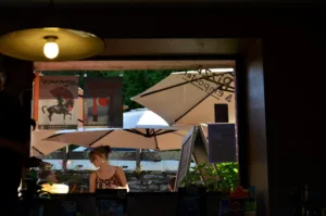 Le yucca à La Gacilly