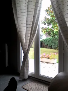 Le Café de Paris à Faremoutiers