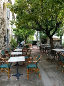 Les Salicornes à Arles