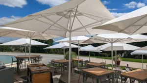 La Belle Epoque à Pau