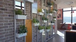 KFC Grigny à Grigny