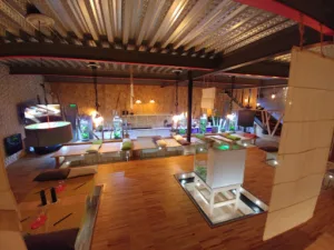 J’adooore les sushis … à Langon