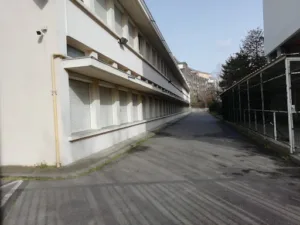 Contact – Mauve à Bron