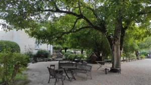 Les Caves de Marson à Rou-Marson