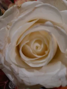 Takos KING à Bagnolet