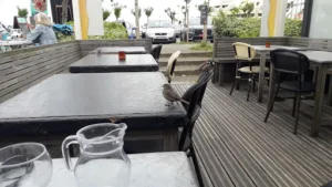 L’EUPHRATE à Anglet