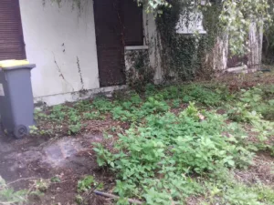 Robin des Bois à Proville