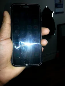 Le Pied de Vigne à Aubervilliers