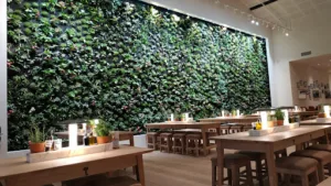 Vapiano à Vélizy-Villacoublay