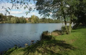 Cooking & Saveurs à Creutzwald