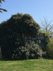 Le Petit Monty – Gîtes, Chambres et Table d’Hôtes à 5 minutes du Puy Du Fou en Vendée à Saint-Malô-du-Bois