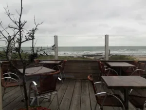 l’Aporrhais à Batz-sur-Mer