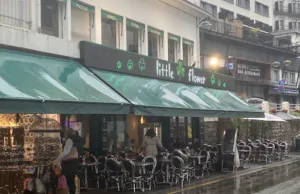 Petit Fleur – Little Flower à Lourdes