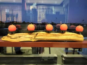 Restaurant Brasserie Le 137 à Marcq-en-Barul