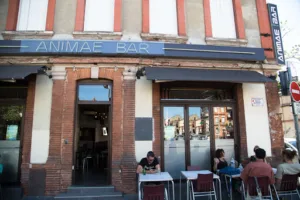 Animae à Toulouse