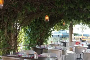 Puycelsi Roc Café à Puycelci