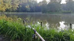 Étang de Chars à Chars