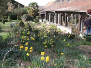 Ferme-Auberge La Lionnière à Mareuil-sur-Cher