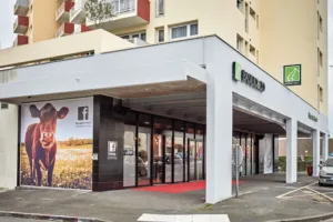 Basilic & Co à Le Mans