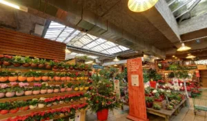 Miwam à Villeurbanne