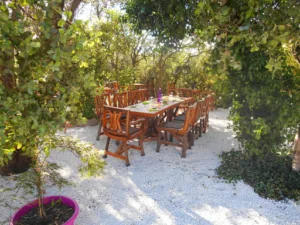 L’Ombrette à Baillargues