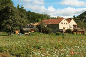 LA FERME SALAM – LIEU DE STAGE // SNACK PAYSAN// GITE DE GROUPE à Boulc