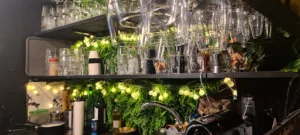 L’anticonformiste à Rouen