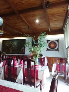 L’orchidée de Chine à Mérignac