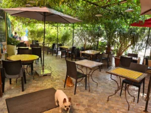 Au Remp’Arts à Elne