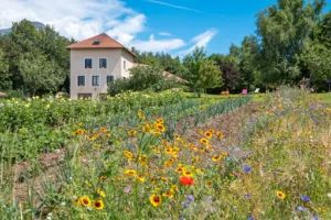 La Combe Fleurie à Saint-Bonnet-en-Champsaur