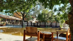 Coquerie à Saint-Étienne-de-Fontbellon