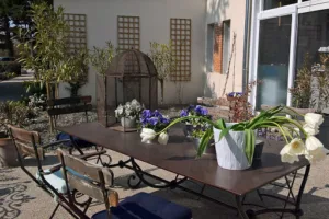 Moulin Rive Gauche à Althen-des-Paluds