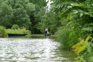 LES OISEAUX DU MARAIS POITEVIN Parc Ornithologique et Embarcadère à Saint-Hilaire-la-Palud