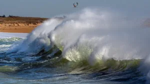 D’Boued – Café de la Lande – Bar / Snack / Expo à Plouhinec