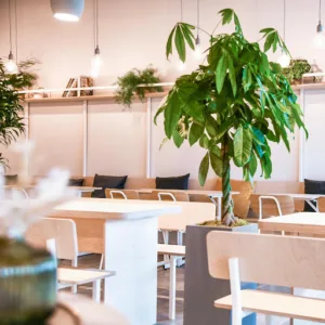 PEKO PEKO à Capinghem