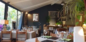 La Palmeraie à Hyères