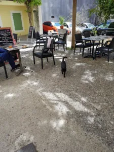 L’Atelier du sept à Donzère