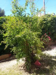 National Road 8 à Ollioules